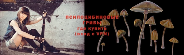 spice Снежинск
