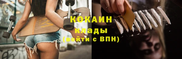 трава Снежногорск