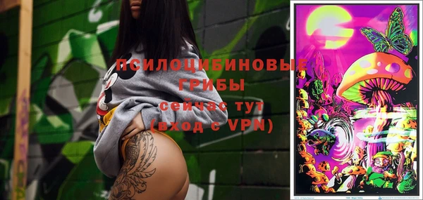 spice Снежинск