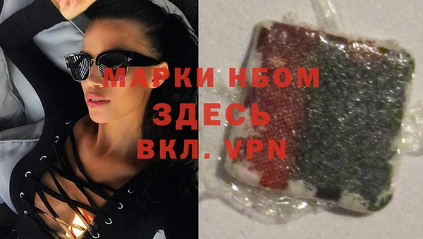 ECSTASY Сосновка